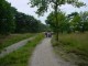 Thumbs/tn_DSC03537.jpg