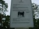 Thumbs/tn_DSC03548.jpg