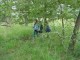 Thumbs/tn_DSC03552.jpg