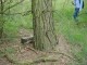 Thumbs/tn_DSC03553.jpg