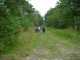 Thumbs/tn_DSC03569.jpg