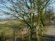 Thumbs/tn_DSC05148.jpg