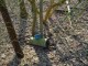 Thumbs/tn_DSC05150.jpg