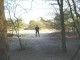 Thumbs/tn_DSC05811.jpg
