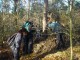Thumbs/tn_DSC04544.jpg