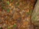 Thumbs/tn_DSC04545.jpg