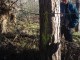 Thumbs/tn_DSC04546.jpg