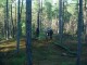 Thumbs/tn_DSC04559.jpg