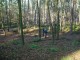 Thumbs/tn_DSC04568.jpg