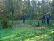 Thumbs/tn_DSC04572.jpg