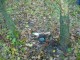 Thumbs/tn_DSC04573.jpg