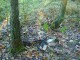 Thumbs/tn_DSC04576.jpg