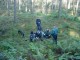 Thumbs/tn_DSC04584.jpg