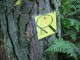 Thumbs/tn_DSC04588.jpg