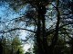 Thumbs/tn_DSC04597.jpg