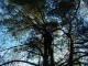 Thumbs/tn_DSC04598.jpg