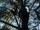 Thumbs/tn_DSC04599.jpg