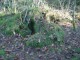 Thumbs/tn_DSC04603.jpg