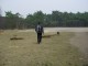 Thumbs/tn_DSC05856.jpg