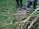 Thumbs/tn_DSC00371.jpg