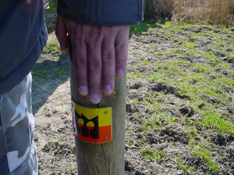 ../Images/DSC05736.jpg