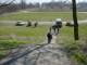 Thumbs/tn_DSC05728.jpg