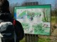 Thumbs/tn_DSC05731.jpg