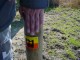 Thumbs/tn_DSC05736.jpg