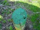 Thumbs/tn_DSC05738.jpg