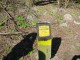 Thumbs/tn_DSC05744.jpg