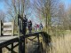 Thumbs/tn_DSC05749.jpg