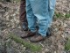 Thumbs/tn_DSC04862.jpg