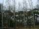 Thumbs/tn_DSC04865.jpg