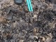 Thumbs/tn_DSC04874.jpg