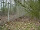 Thumbs/tn_DSC04884.jpg