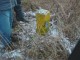 Thumbs/tn_DSC04920.jpg