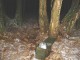 Thumbs/tn_DSC04922.jpg
