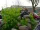 Thumbs/tn_DSC00753.jpg