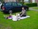 Thumbs/tn_DSC00796.jpg