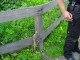 Thumbs/tn_DSC00825.jpg