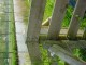 Thumbs/tn_DSC00850.jpg