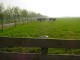 Thumbs/tn_DSC00851.jpg