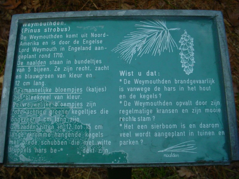 ../Images/DSC05478.jpg