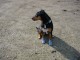 Thumbs/tn_DSC05448.jpg