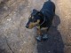 Thumbs/tn_DSC05458.jpg