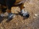 Thumbs/tn_DSC05459.jpg