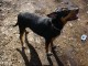 Thumbs/tn_DSC05463.jpg