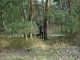 Thumbs/tn_DSC05473.jpg