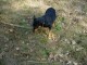 Thumbs/tn_DSC05475.jpg
