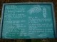 Thumbs/tn_DSC05478.jpg
